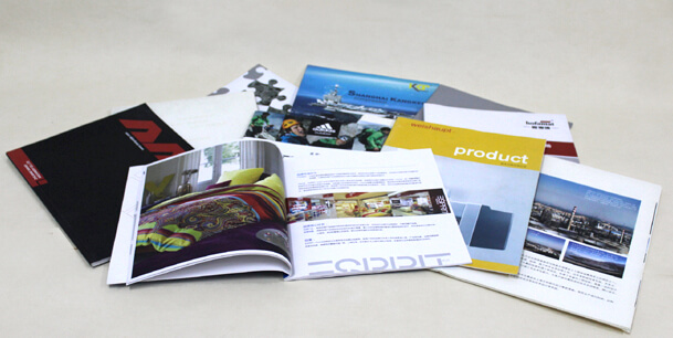 樣本單頁(yè)印刷(圖1) 樣本單頁(yè)印刷(圖1)