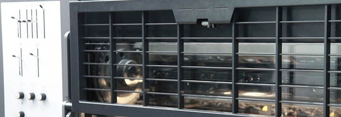 你需要收集哪些圖片來建立家譜？(圖1)